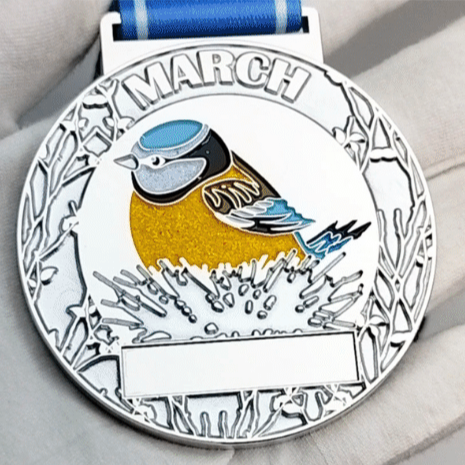 March 2024 - Bluetit- Great British Wildlife Challenge - 5k to 400 miles - you choose