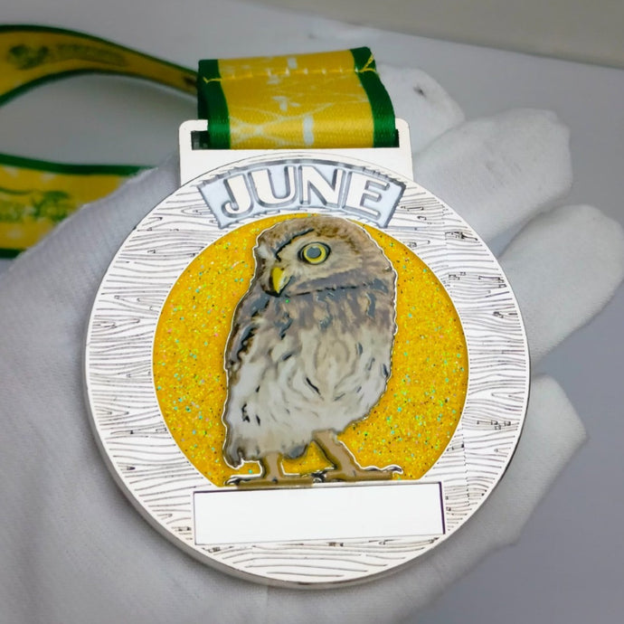 June 2024 - Little Owl- Great British Wildlife Challenge - 5k to 400 miles - you choose